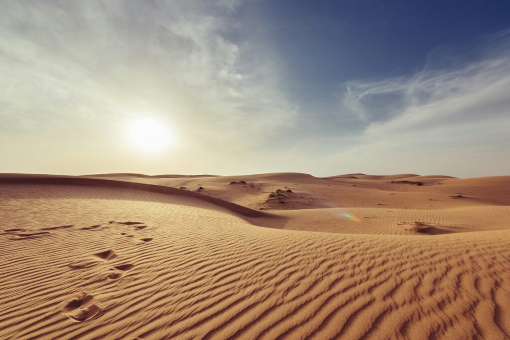 Bodies Recovered in Libyan Desert